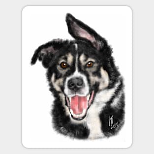 Smiling Happy Black and White Dog Sticker